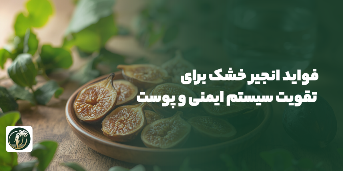 فواید انجیر خشک برای تقویت سیستم ایمنی و پوست