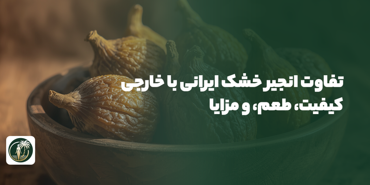 انجیر خشک ایرانی