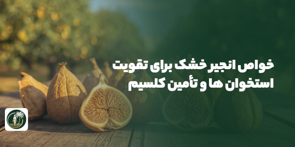 خواص انجیر خشک برای تقویت استخوان‌ ها و تأمین کلسیم