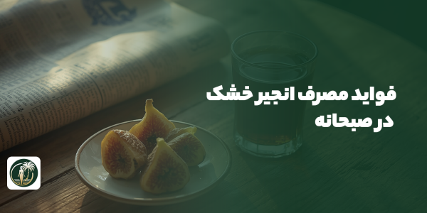 فواید مصرف انجیر خشک در صبحانه