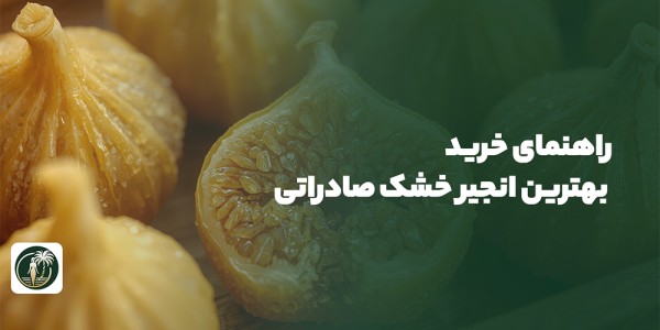 راهنمای خرید بهترین انجیر خشک