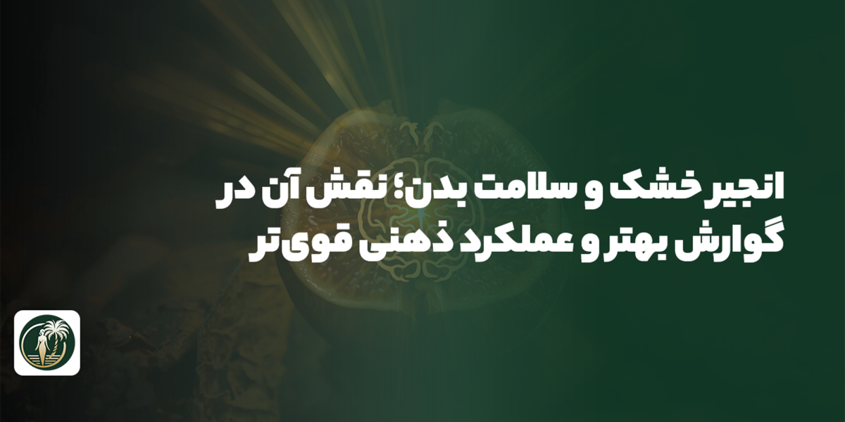 انجیر خشک و سلامت بدن؛ نقش آن در گوارش بهتر و عملکرد ذهنی قوی‌تر