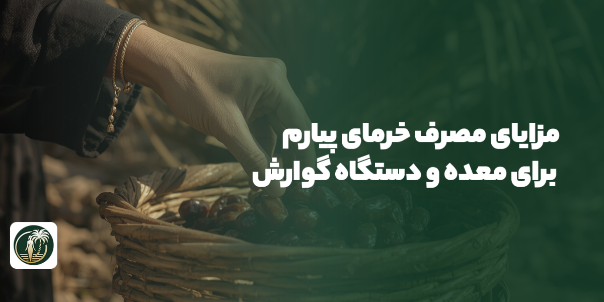 مزایای مصرف خرمای پیارم برای معده و دستگاه گوارش