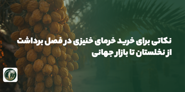 bswfood-خرما- 8