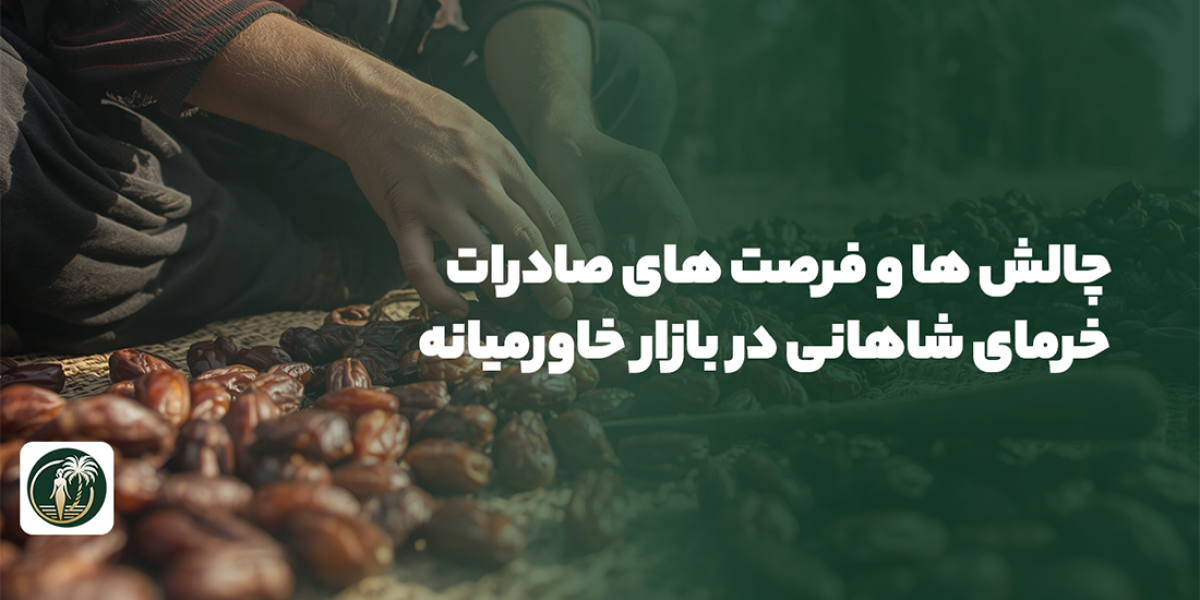 صادرات خرمای شاهانی
