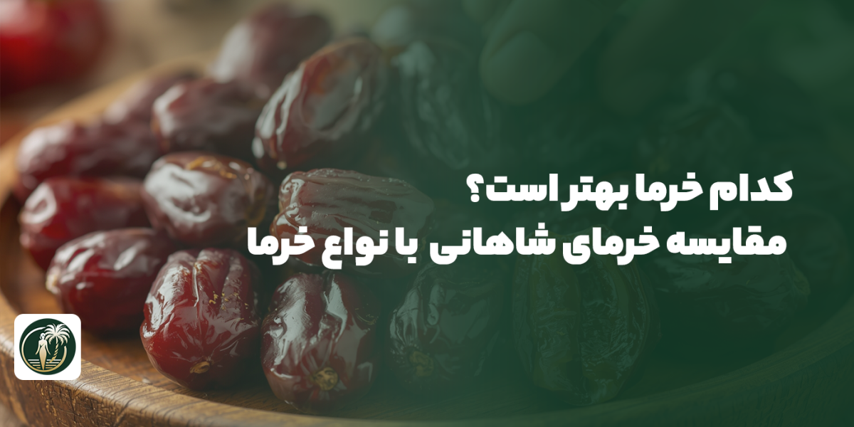 کدام خرما بهتر است؟ مقایسه خرمای شاهانی و دیگر انواع خرما